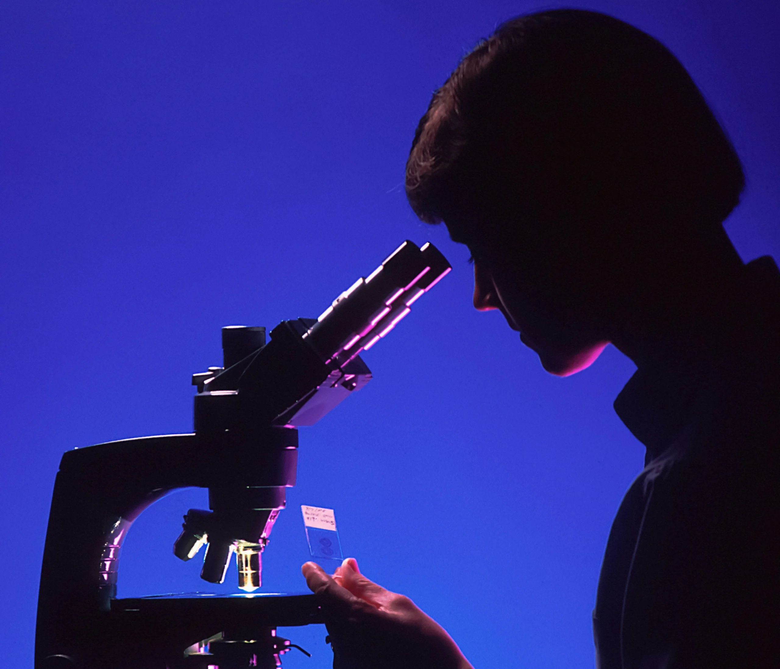 Scientist working with laboratory equipment in a research lab